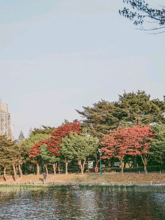 사계절 꽃을 볼 수 있는 울산대공원