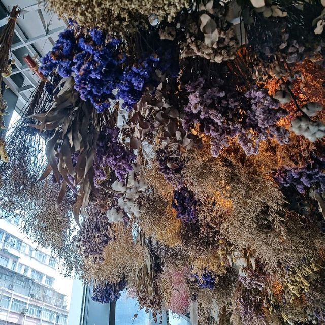 乾花打卡特色咖啡店