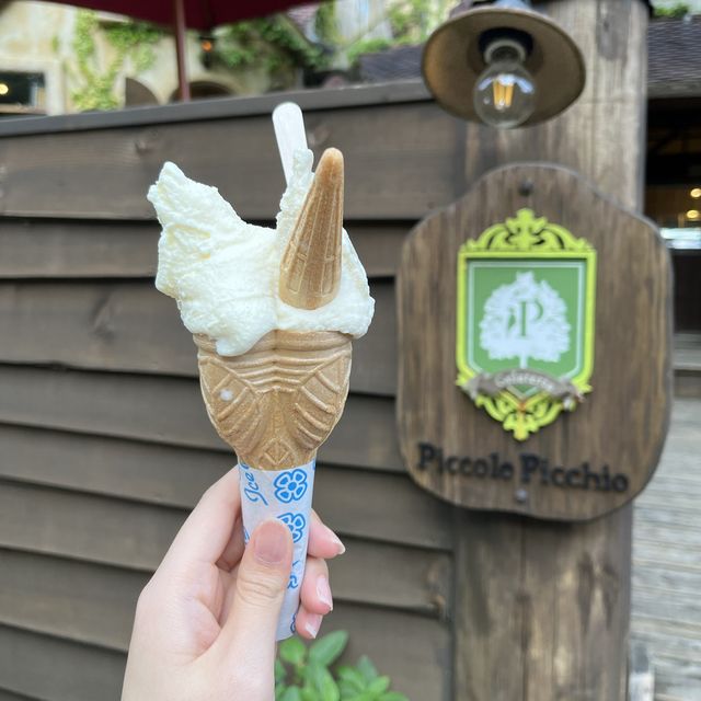 まるでおとぎの国⁉︎ ぬくもりの森🌳