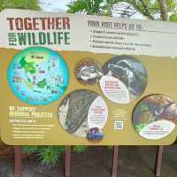 Trip to River Wonders