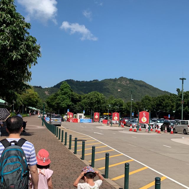 大暑之下既迪士尼一日遊☀️
