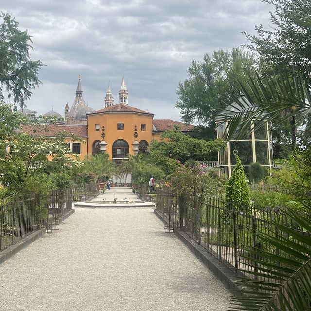 帕多瓦植物園，出名在最早