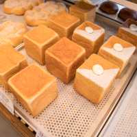 빵지순례들에게 추천하는 제주 송당의 아침 빵집🍞