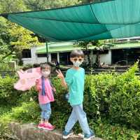 嘉道理農場嘉道理農場暨植物園 觀蝶之旅