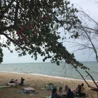 Beach of Whispering Breeze!