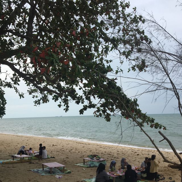 Beach of Whispering Breeze!