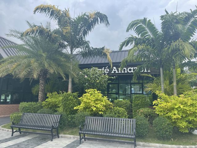 Cafe Amazon🦜
