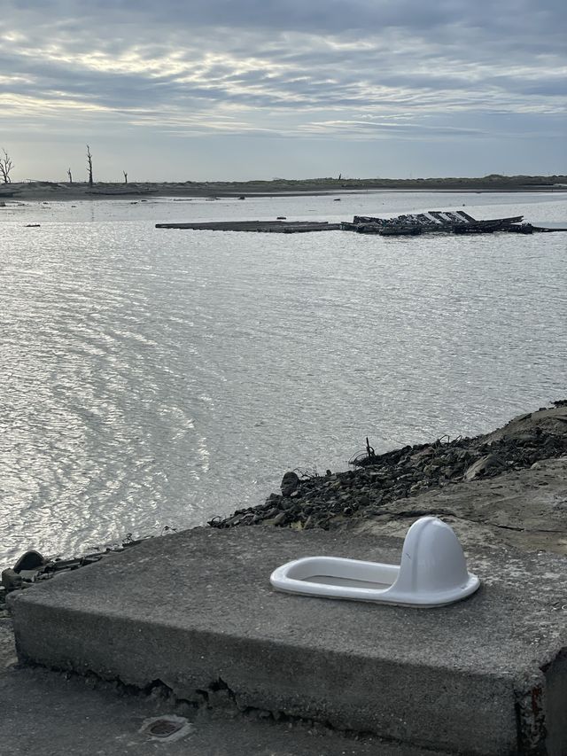 嘉義秘境 白水湖壽島