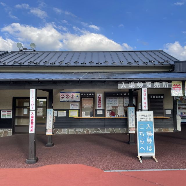 【大分県】天空の散歩道で大自然を体感！