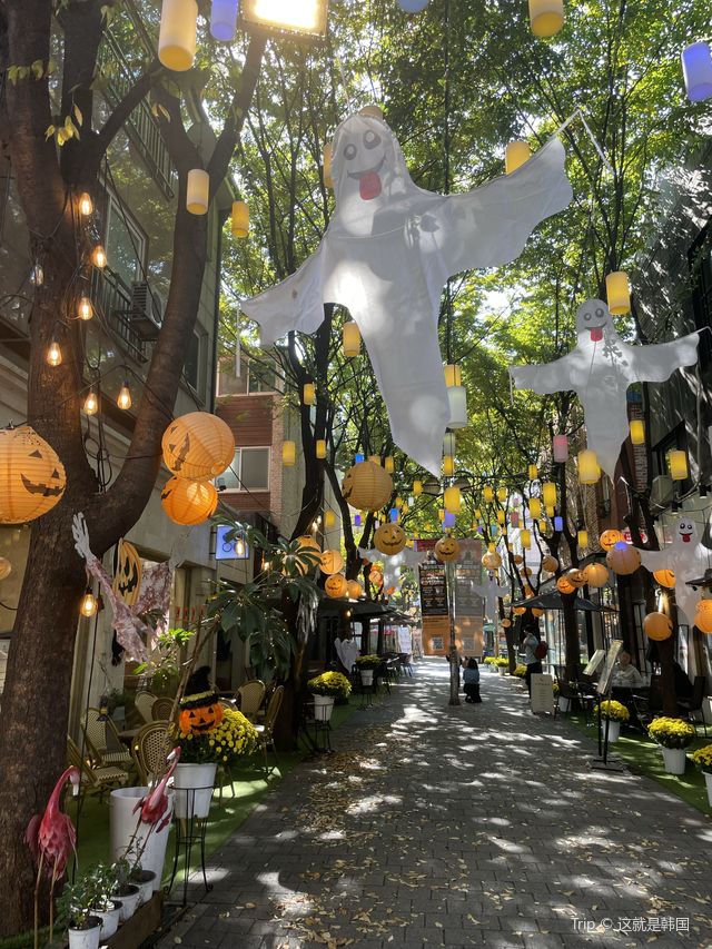 이번 주말, 보정동 카페거리 어때요🎃