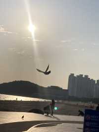 부산여행에 빠질 수 없는 곳