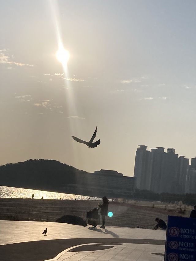 부산여행에 빠질 수 없는 곳