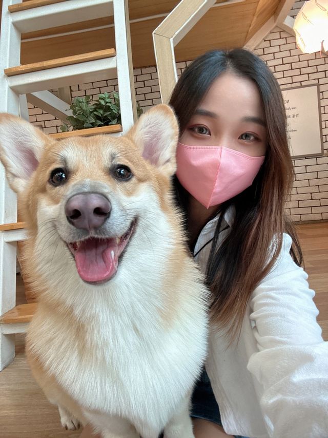 🇹🇭曼谷 狗狗cafe 一大堆狗狗圍住你轉🐶