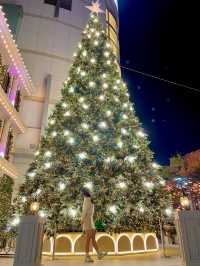 명동 크리스마스 스팟 모음집🎄❤️✨