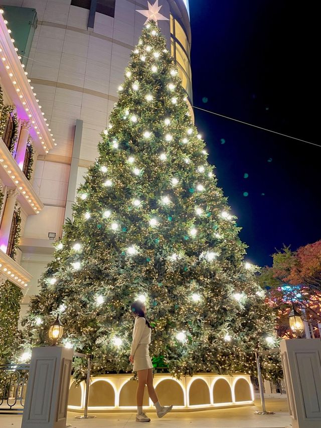 명동 크리스마스 스팟 모음집🎄❤️✨