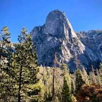 View From Yosemite Valley Floor