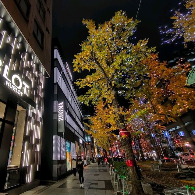 【大阪 難波】光の饗宴✨御堂筋のイルミネーション
