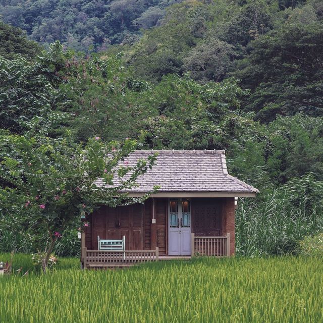 หลองข้าวสะเมิง บ้านพักบรรยากาศดี ในอ้อมกอดขุนเขา