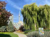 Harbourfront, Toronto 🇨🇦