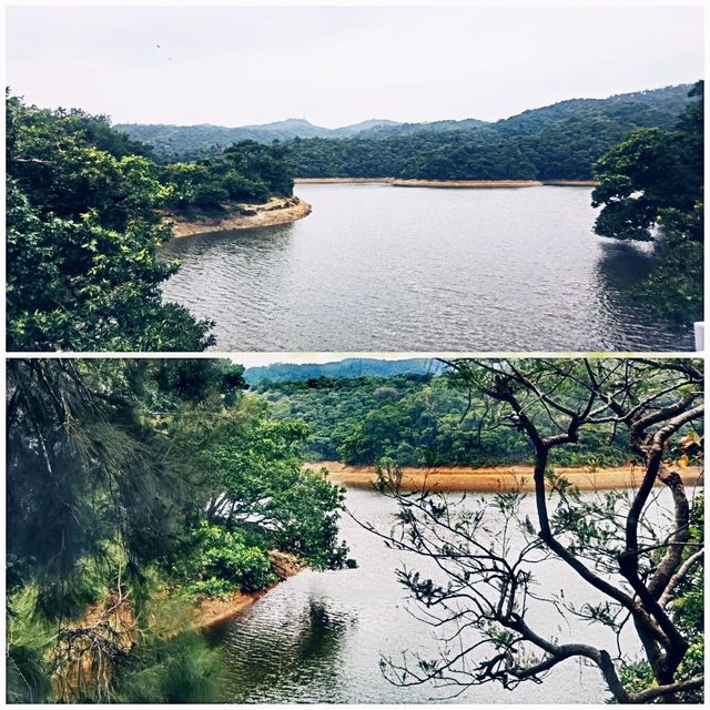 香港有個花果山