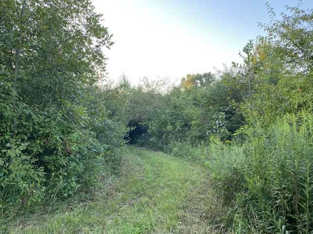 Beech Woodland Trail - Columbus