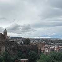 Botanical greenery of Tbilisi