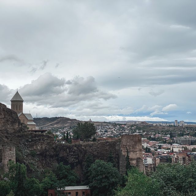 Botanical greenery of Tbilisi