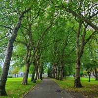 Beautiful Welsh Park