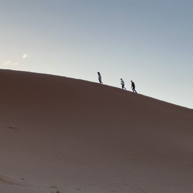 Sahara desert tour
