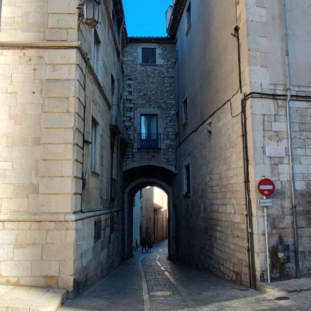 Cathedral of Saint Mary and surroundings 