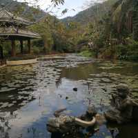 Orchids and Ostriches in Yalong Bay