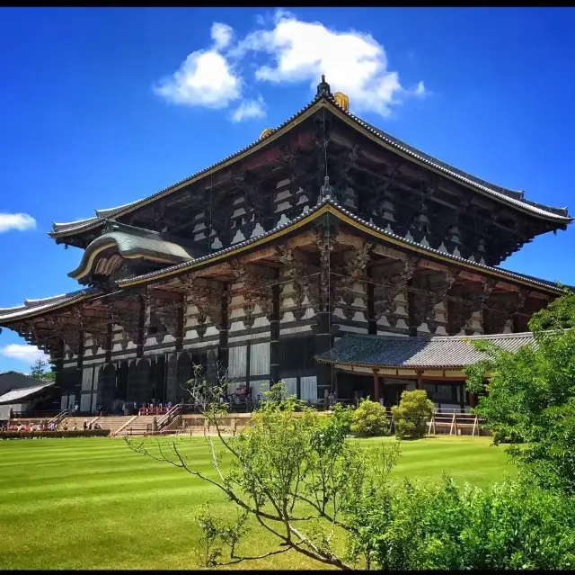 Todai Ji Temple - Nara 