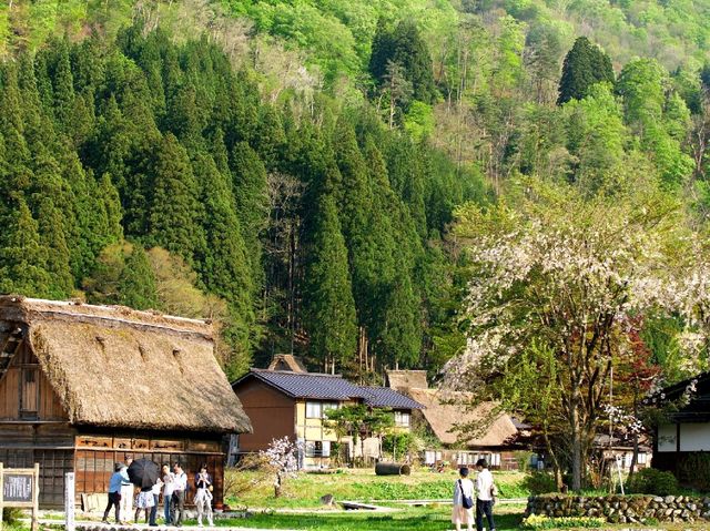 世界文化遺產日本合掌村