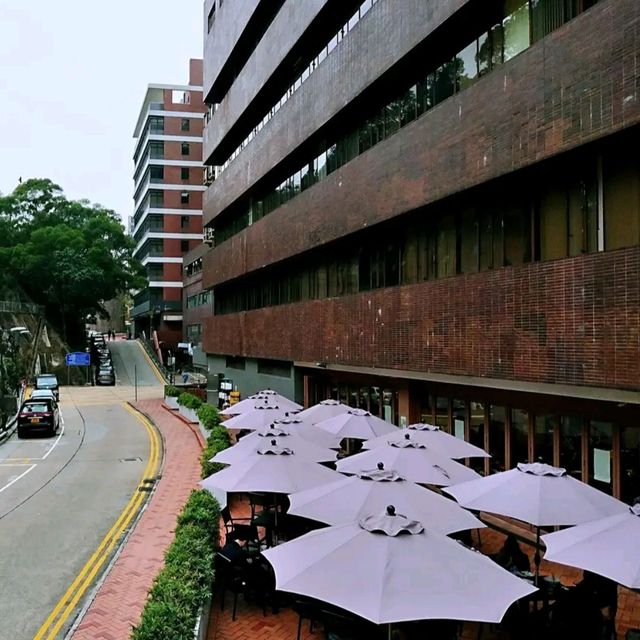 参观香港大学