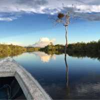 living in the world’s largest rainforest 