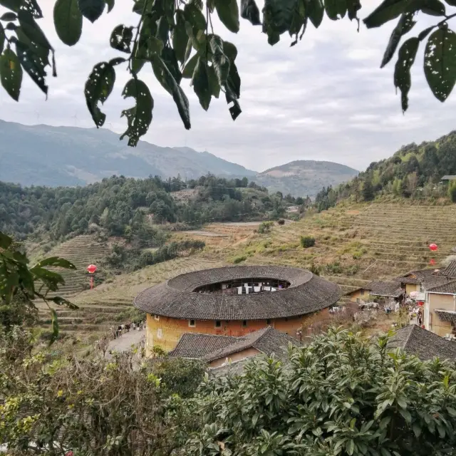 Tulou villages: my favorite countryside 🌾