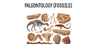 Fantastic Fossils | 1816 W Baseline Rd