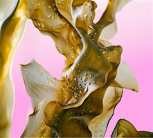 Sacramento Science on Tap: How Seaweed Can Help Save the World | New Helvetia Brewing Company