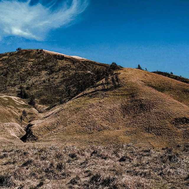 The Bromo Mountain