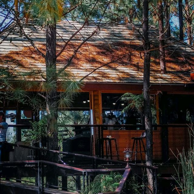 Cedar ป่าสน cafe’ เขาค้อ🌲 🌲