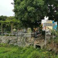 白腊村