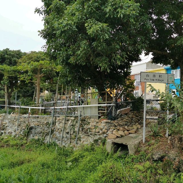 白腊村