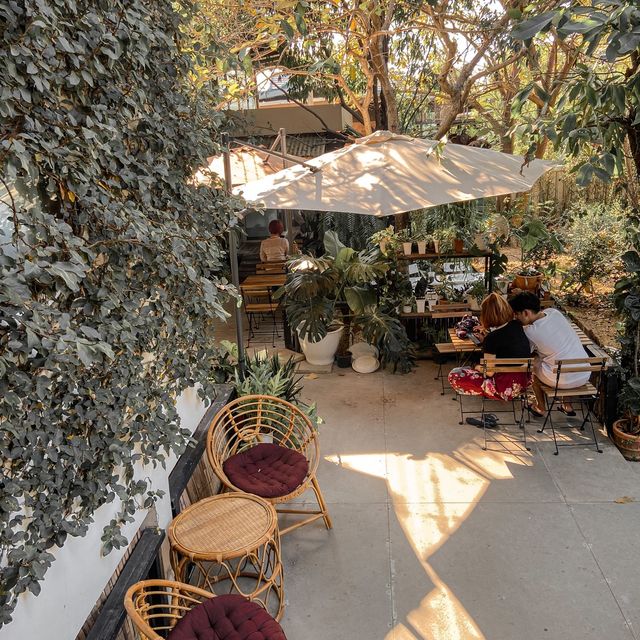 STAY WITH TREE cafe 🍃🌳☕️