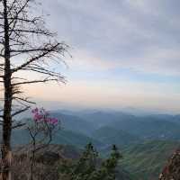 [등산] 산중의 산, 지리산 천왕봉