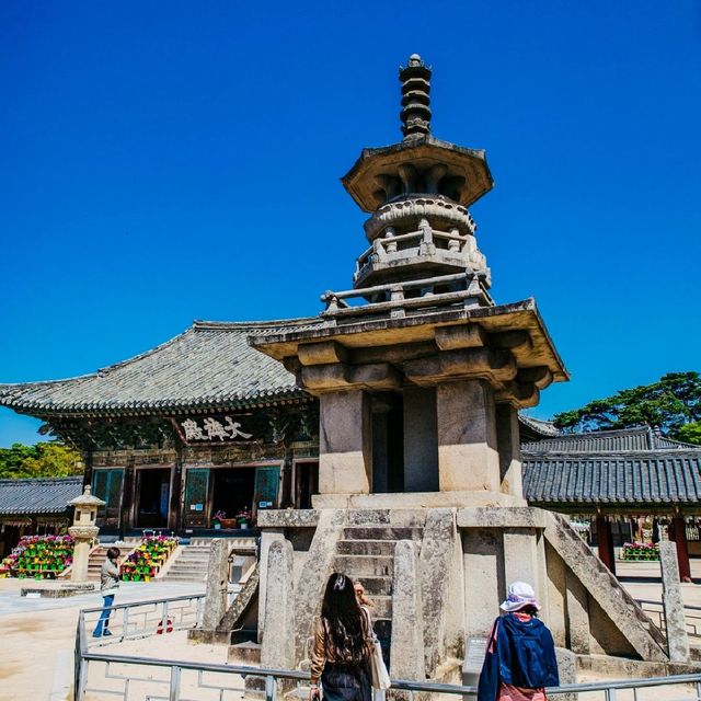 경주여행 불국사 다보탑, 겹벚꽃