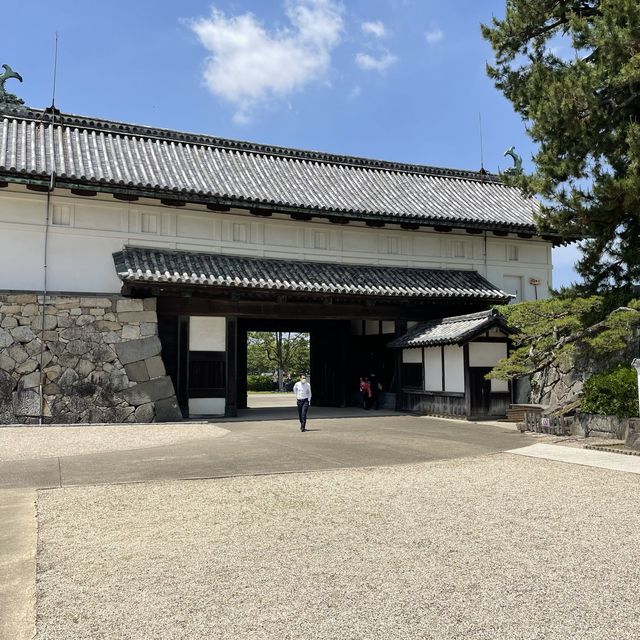 歴史に触れる佐賀城跡