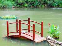 城門谷公園荷花池