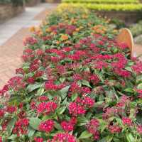 侏羅紀迷宮花園