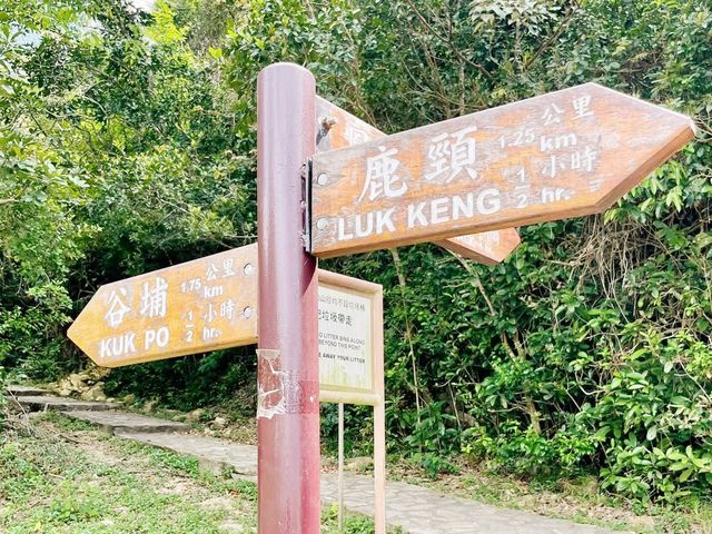 谷埔