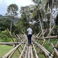 25th Rainforest World Music Festival!